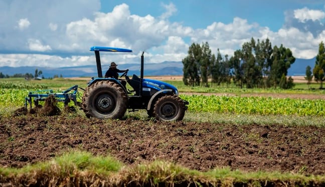 En siete provincias de La Libertad. Además, fortalecerán su productividad con maquinaria, asistencia técnica y paquetes tecnológicos.