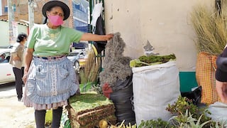 Serfor exhorta a no usar musgo en nacimientos navideños para proteger los ecosistemas