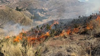 Incendios forestales dejan seis fallecidos en lo que va octubre y continúan activos en cinco regiones