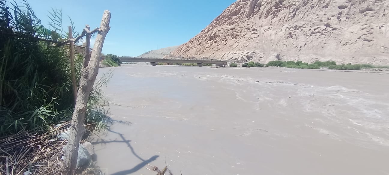 El desborde del río Ocoña arrasaría con cientos de hectáreas de arroz. (Foto: Municipalidad de Ocoña)