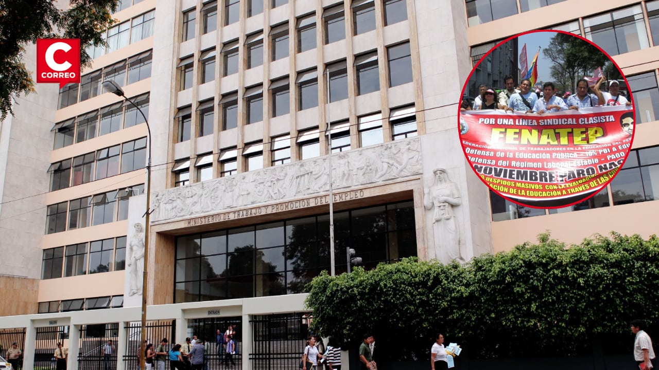 La resolución concluye que la organización no subsanó las observaciones formuladas durante el procedimiento y señala que podrá iniciar un nuevo trámite o presentar un recurso de apelación.