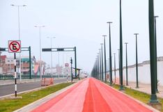 Colocarán 9 500 árboles en la nueva Vía Expresa de Cusco (FOTOS)