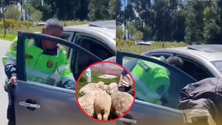 Cae banda de abigeos tras persecución en Jauja