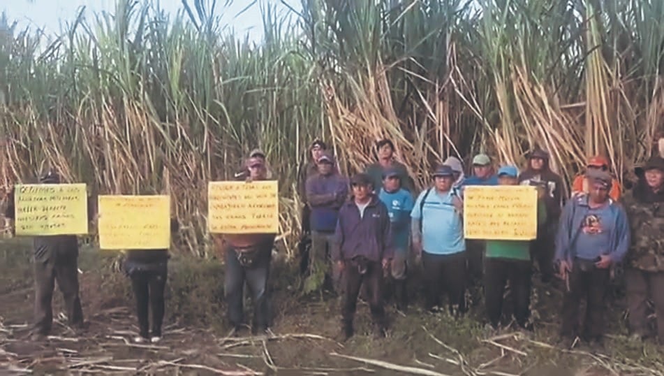 Productores de caña de azúcar reclaman por falta de apoyo.