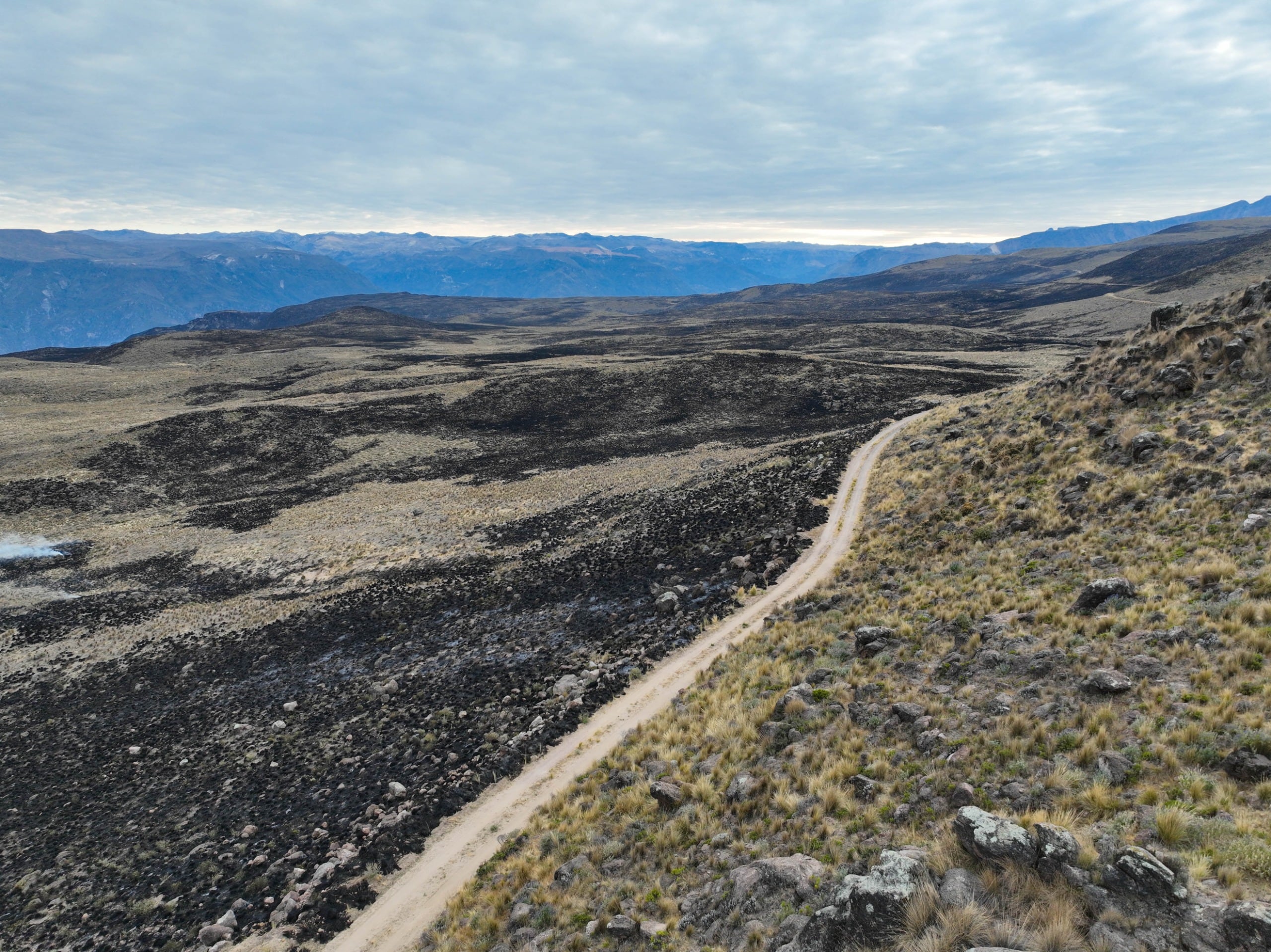 Incendio forestal en el distrito de Toro ya afectó 500 hectáreas, 8 viviendas y ganado. Foto: Gobierno Regional de Arequipa.