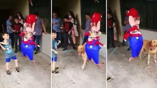 Perro desata risas en fiesta infantil por destruir piñata de Mario Bros (VIDEO) 