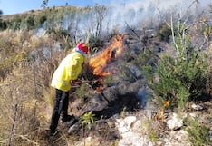Machu Picchu: Controlan incendio forestal que afectó las vías del tren (FOTOS)