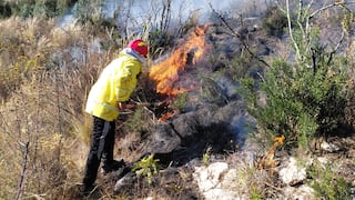 Machu Picchu: Controlan incendio forestal que afectó las vías del tren (FOTOS)