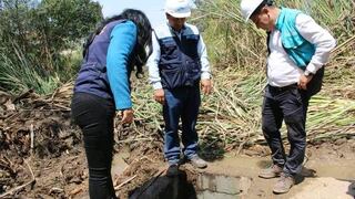 Pisco: hallan conexión de agua potable clandestina en predio en la av. Fermín Tangüis