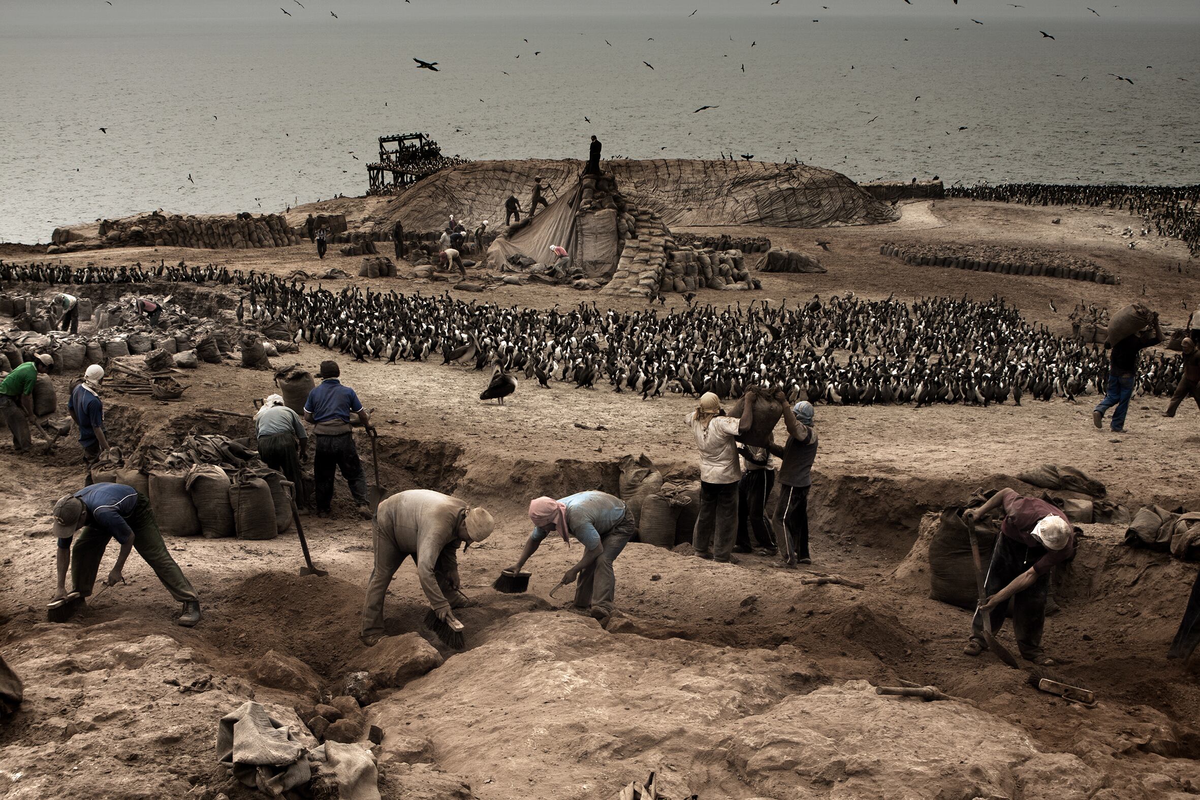 La muestra reúne obras de 25 fotógrafos y podrá visitarse en la Galería del Centro Cultural de la Universidad de Lima, hasta el 27 de octubre, con ingreso libre.