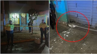 Ica: atacan con explosivo en el frontis de un restaurante en Parcona