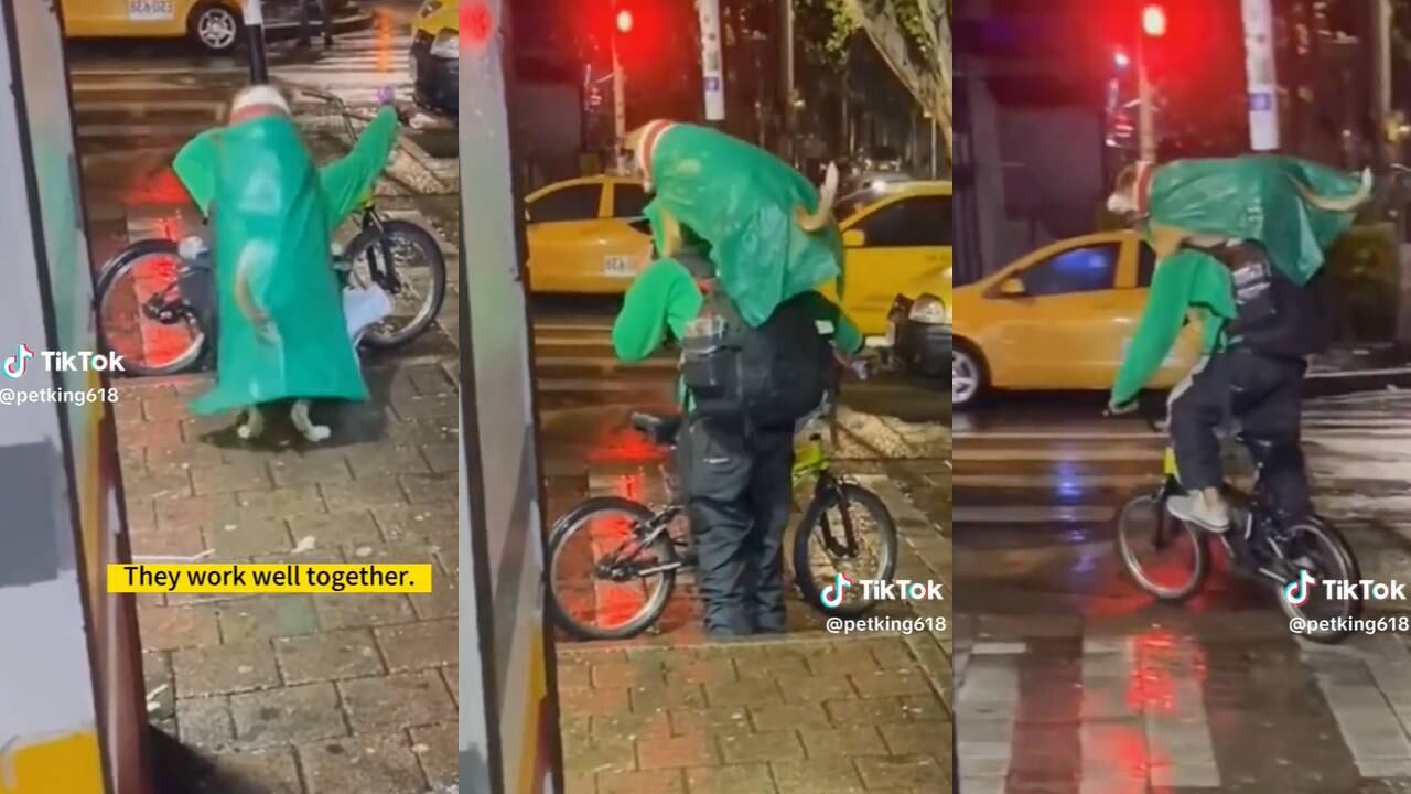 Hombre cubre a su perro de la lluvia y le hace 'capachún' para llevarlo en sus hombros. (Foto: composición EC)