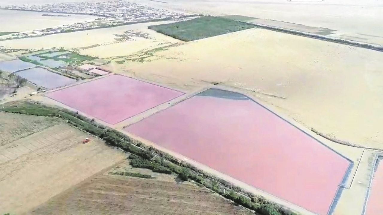 Mario Reyna, alcalde de Trujillo, retó a directivos de la empresa a que demuestren con documentos si están impedidos de invertir en la PTAR El Tablazo.