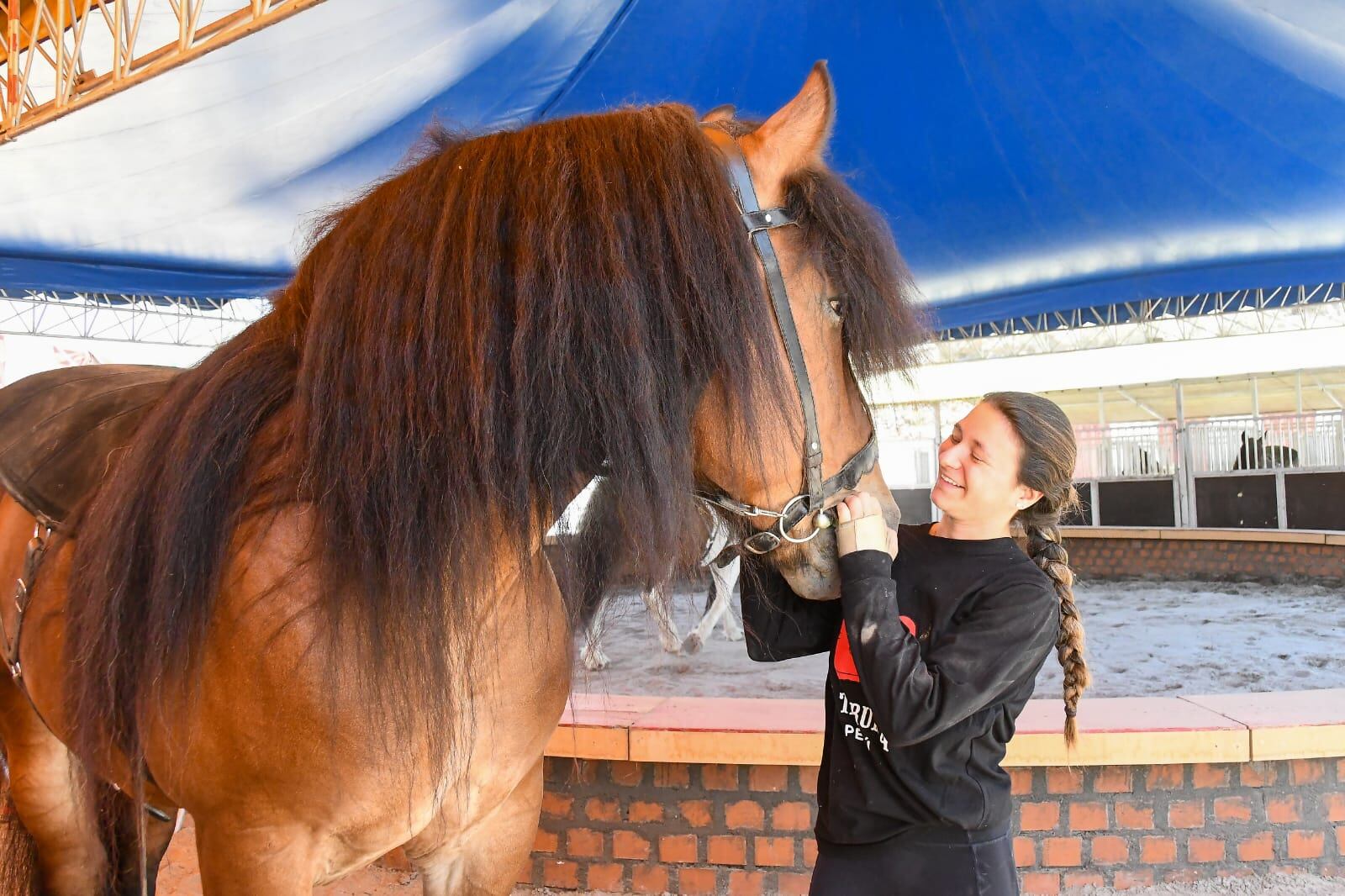 La Tarumba en Arequipa y su show de caballos artísticos. (Foto: Leonardo Cuito)