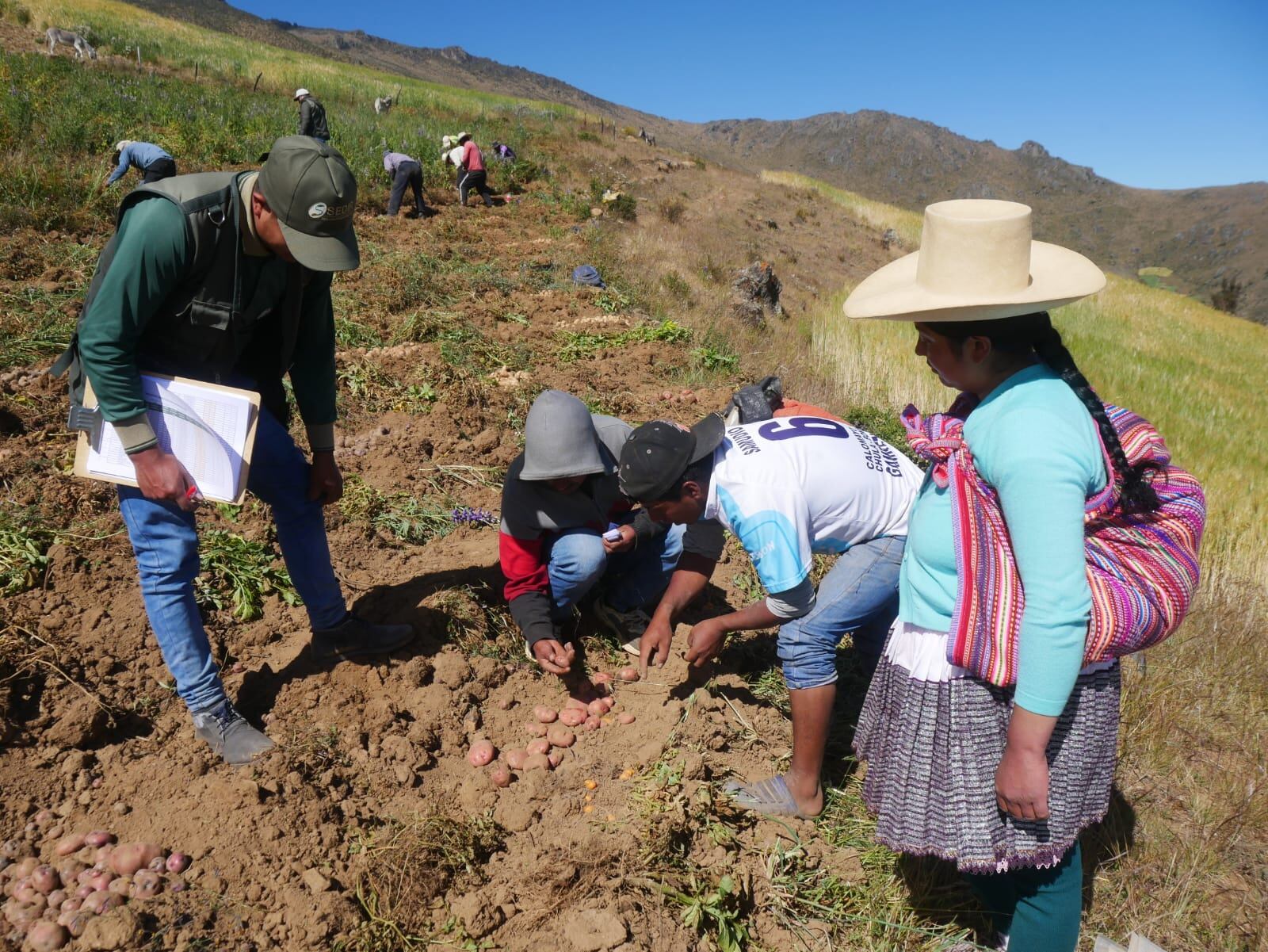 Agricultores contaron con soporte técnico durante siete meses.