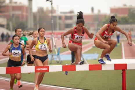 Perú consigue 11 medallas y 5 clasificaciones al Mundial en Campeonato Sudamericano