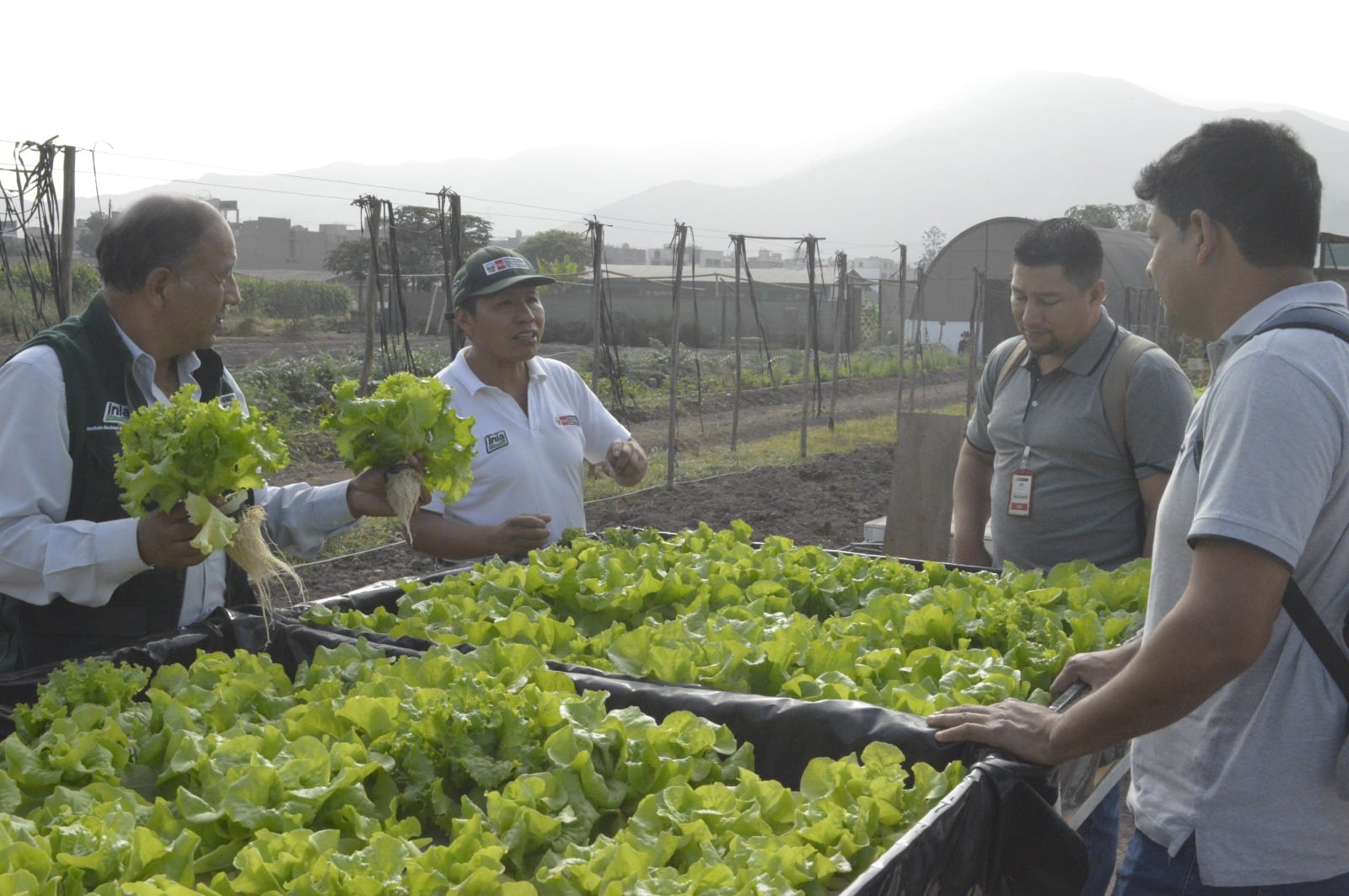 Se promoverá una inversión de más de 16 millones de soles. Foto/Difusión.
