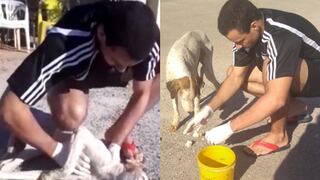 Joven salva a perro callejero haciéndole maniobras de reanimación (VIDEO)