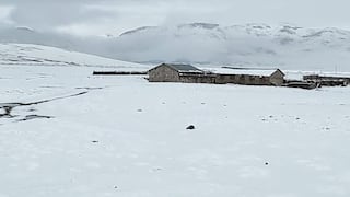Arequipa: Reportan presencia de nieve en el sector de Imata