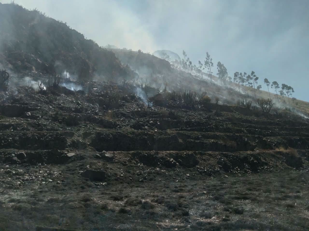 Incendio forestal en alrededores del complejo arqueológico Uyo Uyo, en Yanque, Caylloma (Arequipa). Foto: COER.