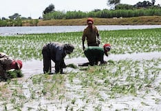 El agro enfrenta crisis de precios y la amenaza de un fenómeno El Niño