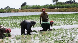El agro enfrenta crisis de precios y la amenaza de un fenómeno El Niño