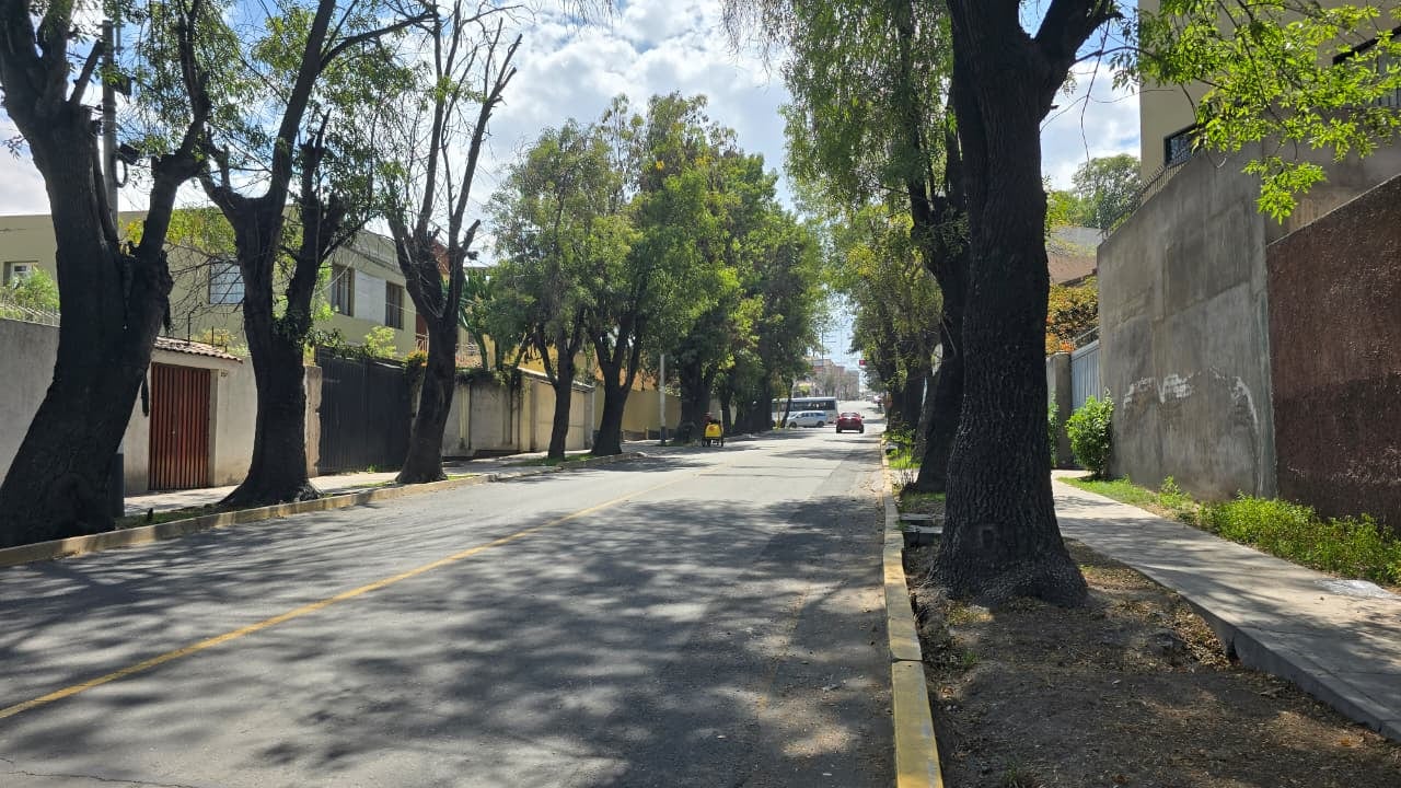 Ciudad Jardín en la av. San Martín, en Arequipa. (Foto: Yunsu Pariapaza/@photo.gec)