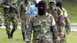 ​Las FARC piden que les asignen curules en el Congreso colombiano