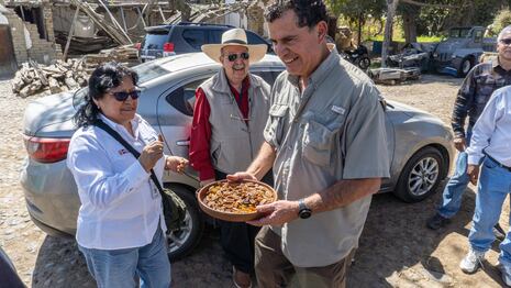 De Ica a China: la agricultura familiar abre el mercado con la pecana