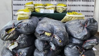 Policía incauta 4,200 aparatos explosivos en vía a la sierra de La Libertad