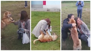 Mujer y su mascota protagonizan emotivo encuentro tras una semana sin verse (VIDEO)