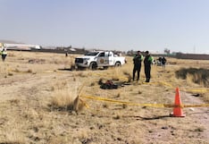 Puno: Hombre murió presuntamente luego de ser atacado por una jauría de perros