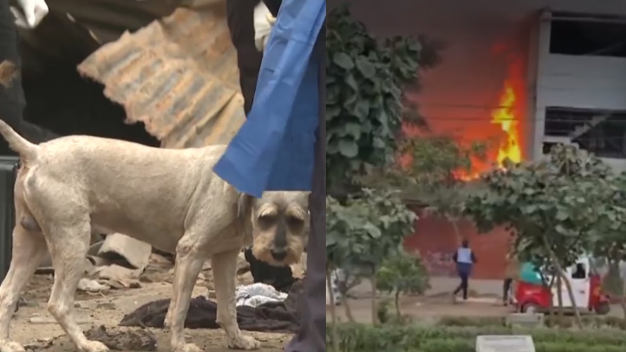 Incendio en Villa María del Triunfo deja una mujer muerta. (Fotos: Captura América Noticias)