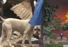 VMT: mujer muere calcinada tras quedar atrapada en incendio