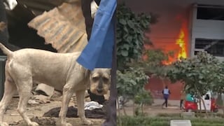 VMT: mujer muere calcinada tras quedar atrapada en incendio
