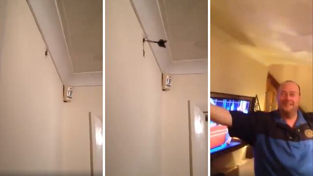 Hombre es acusado de maltrato animal por dejar agonizando a una araña tras lanzarle un dardo (VIDEO)