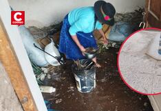 Fuerte granizada causa daños a cultivos en las alturas de Cusco (VIDEO)