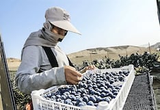 La Libertad registró envíos por US$ 6 millones