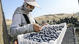 La Libertad registró envíos por US$ 6 millones