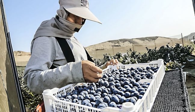 El sector minero volvió a ser clave para que la región alcance un crecimiento de 18.4% respecto a 2024 y concentre el 7% de las exportaciones.