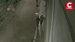 Delincuentes irrumpen en vivienda y envenenan a los perros de familia en Puente Piedra