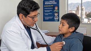 Alergias a mascotas afectan al 50% de niños en Arequipa