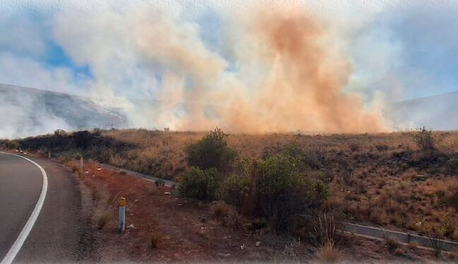 Arequipa: ocho incendios forestales afectaron 1,350 hectáreas este año. Foto: COER.