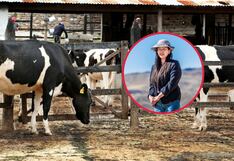D’ESTABLO, el proyecto de joven arequipeña impulsa la producción de leche en zonas altoandinas