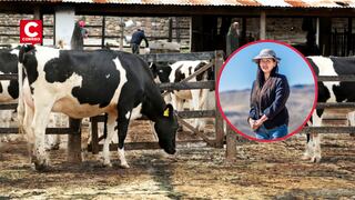 D’ESTABLO, el proyecto de joven arequipeña impulsa la producción de leche en zonas altoandinas