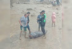 Mujer que murió en la Panamericana Sur no fue sometida a necropsia