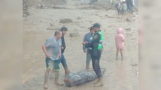 Mujer que murió en la Panamericana Sur no fue sometida a necropsia