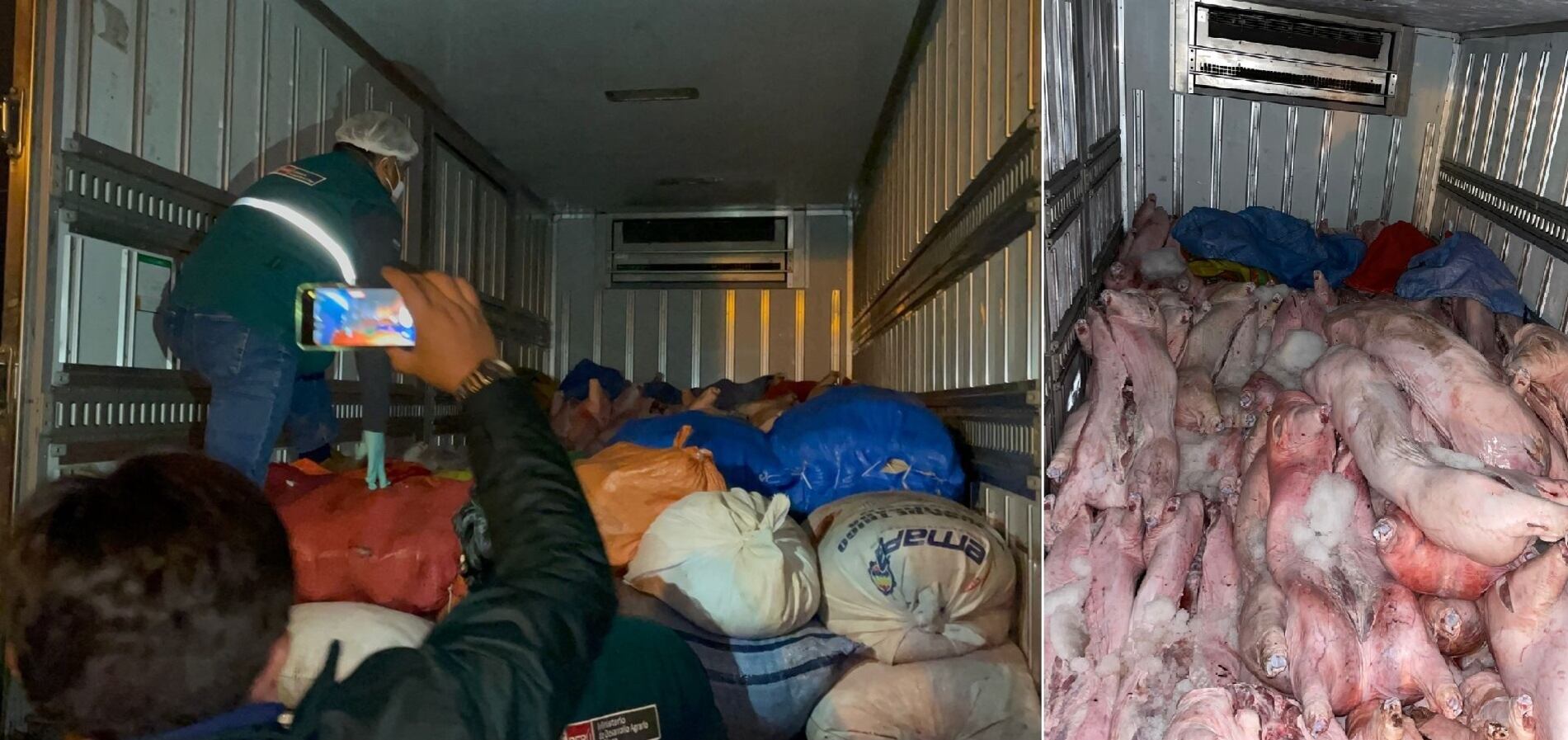 Personal de Senasa efectuó una inspección a la carga de carne de porcino traída de Bolivia