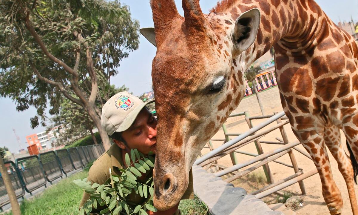 El evento, que se realizará este 17 de agosto, contará con exhibiciones únicas, concursos y shows en vivo para fanáticos del Caballero de la Noche.
