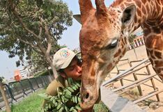 Parque de las Leyendas Huachipa celebra aniversario con “Bati Fest”, el festival temático de Batman